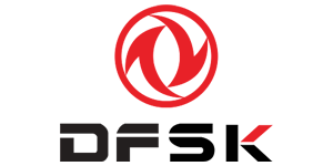 DFSK Logo